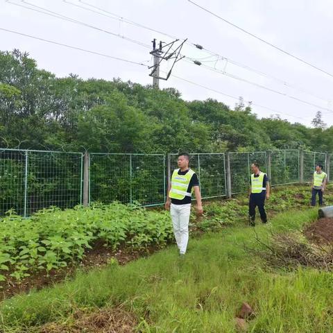 青原区护路办端午期间开展线路巡护