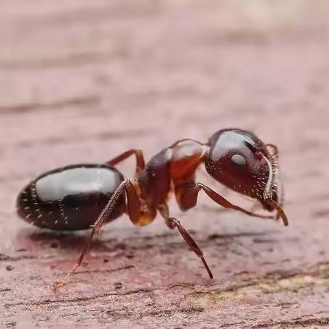 “冗余”理解的三层含义