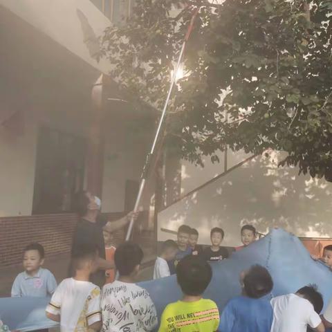 “柿柿”如意，童趣采摘