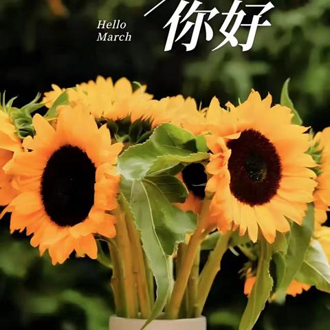 燕山物业2025年3月份工作简报