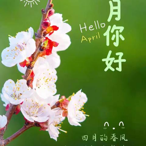 燕山物业2025年4月份工作简报