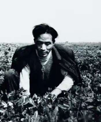 城南学校“和悦”家文化系列之中华优秀家风故事第三讲《焦裕禄家风》——清正廉洁，忠诚担当