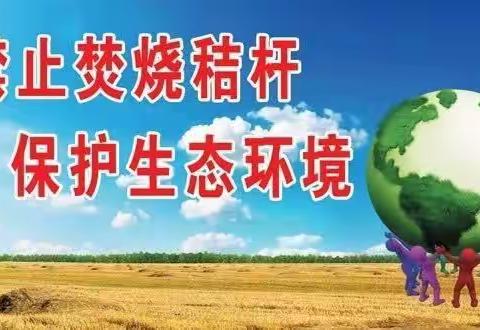 码市镇关于禁止露天焚烧秸秆，保护生态环境的倡议书