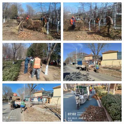 草木皆风景，养护见真情