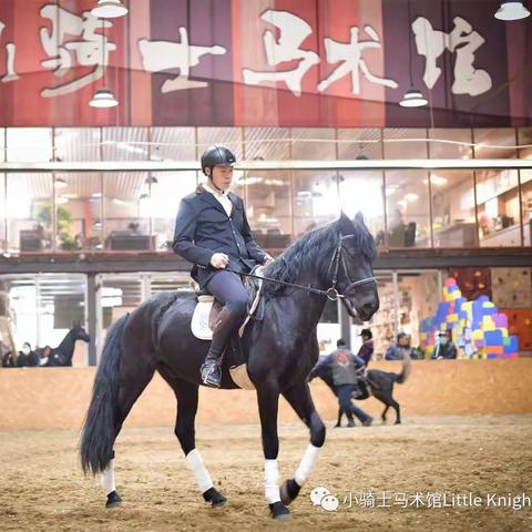 小骑士会员邀请赛 马上马术馆四平店活动流程安排