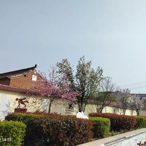 播种格桑花，静待花开时｜南郭口校园春日播种实践活动