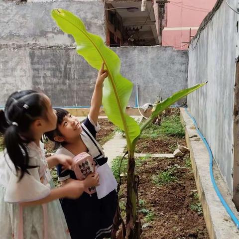 震塘幼儿园第12周生活精彩回顾