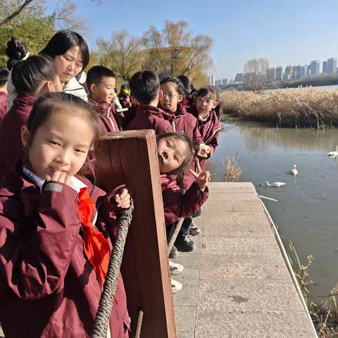 与天鹅共舞，同精灵散步！——滨河小学三（3）班