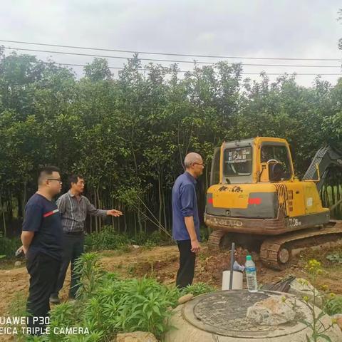 【弋江街道人大】弋江街道人大工委助力“非粮化"整治 严守耕地红线