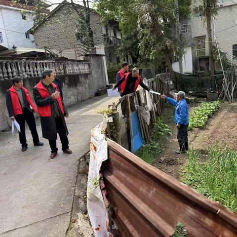 守护绿色家园，共赴文明清明——大树村在行动