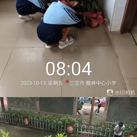 育才区各中小学校、幼儿园统一开展环境卫生大扫除、全面翻盆倒罐清理积水情况