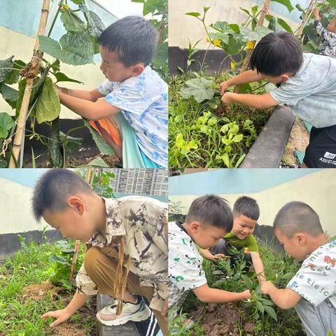 洪恩博才幼儿园 “生活·家”课程——立足生活，基于儿童经验生长