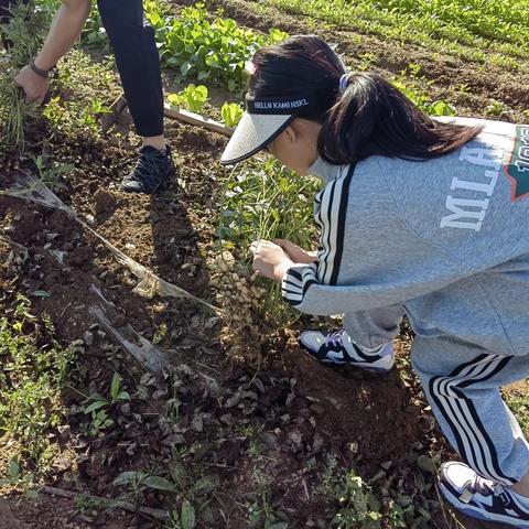 秋.丰收的季节