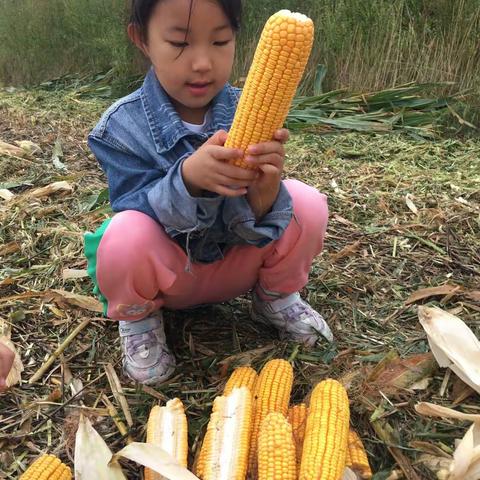 “勤劳动促和美” 莱州市双语学校 一年级十四班～邢煜旋