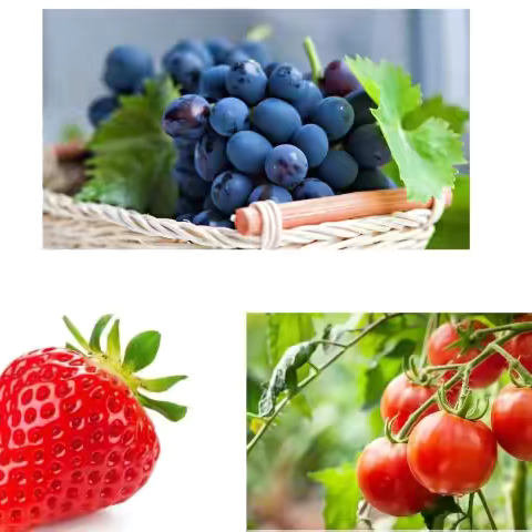 肾结石患者应避免的食物 ‍