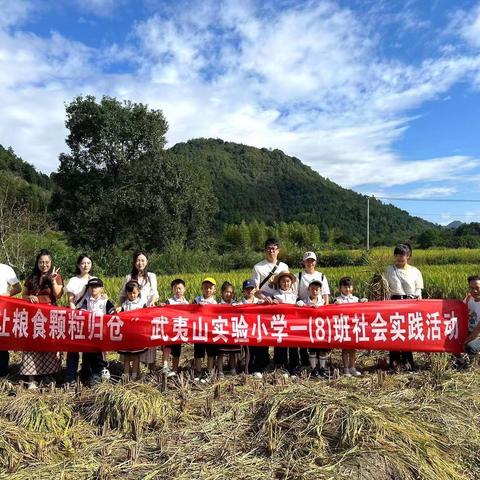 “让粮食颗粒归仓”—武夷山实验小学一年级八班劳动研学实践活动