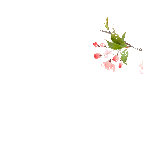 期纳荫蕊幼儿园清明节放假通知及安全温馨提示