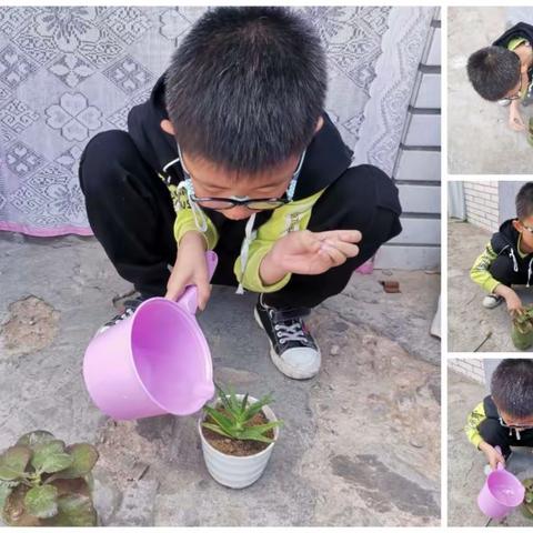 《义务教育劳动课程标准(2022年版)》致全体学生家长的一封信