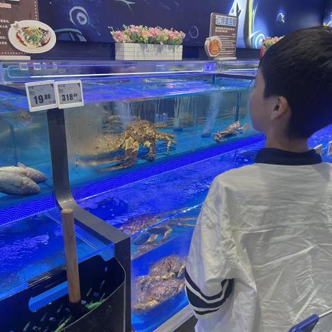 超市里的数量关系