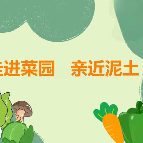 【劳动教育】走进菜园，亲近泥土——义和庄中心幼儿园实践活动之"拔萝卜，采摘白菜"