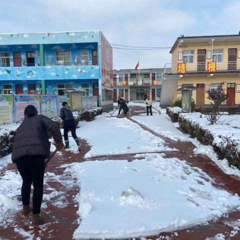 暴雪纷飞至，除雪暖意浓—浚县王庄镇井固中心校除雪记