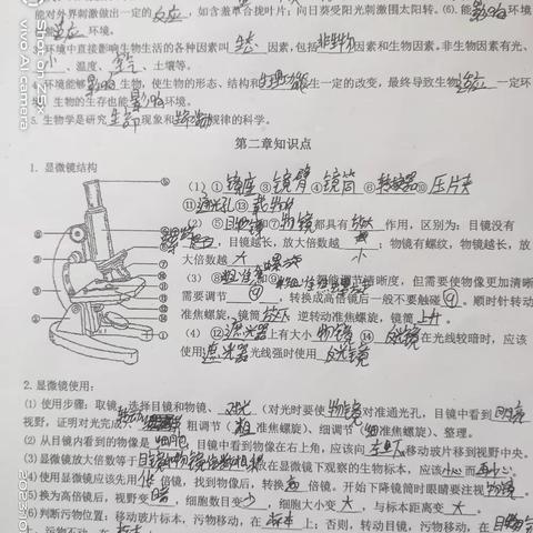 10.3罗苒诚作业