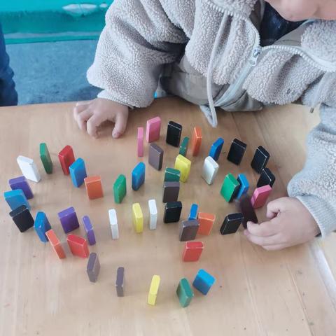 清平镇中心幼儿园代官屯分园小班持续观察记录《遇见多米诺》