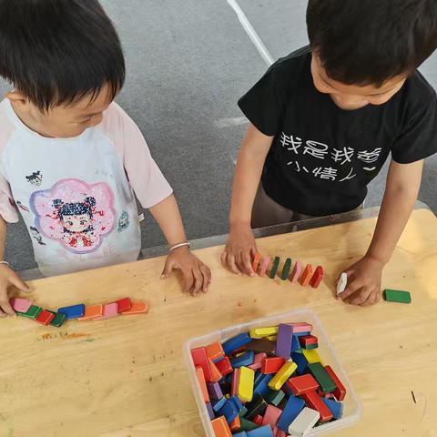 探秘多米诺—清平镇中心幼儿园代官屯分园4月份小班益智区观察分析