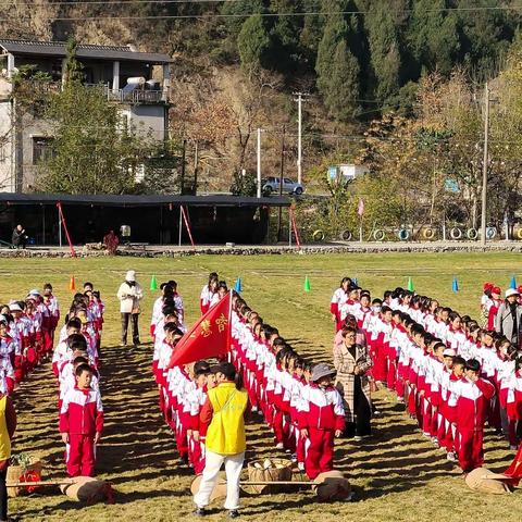 稻田拾趣，乐享田间——记澧滨小学四年级六班农耕研学活动