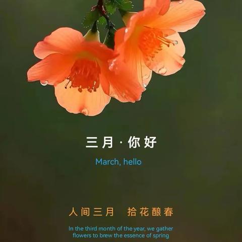 鸿硕物业亿利城F区物业服务中心 2025年3月工作简报