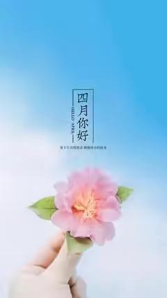 福建鸿硕物业亿利城F区物业服务中心2025年4月工作简报