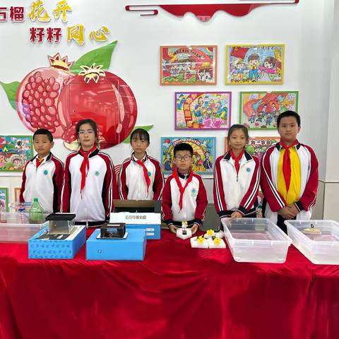 探索科学奥秘，点亮未来梦想——“科技六小”学生素养展示系列活动（四）