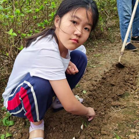 劳动最光荣，劳动我最美！——五年级五班.王柏翔