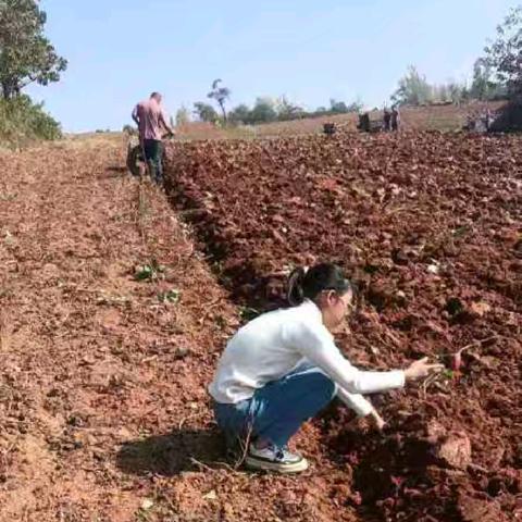 自立自强，劳动感恩——宜阳县思源实验学校第8周感恩作业展