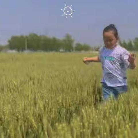 《风是秋天的信差》濮阳市华龙区实验小学二年级三班的张淾乔