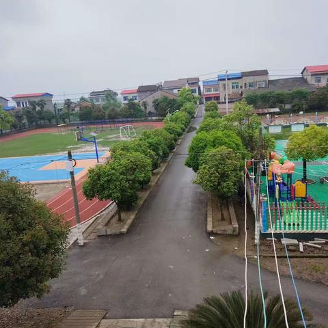 团洲中学小学四年级期中总结