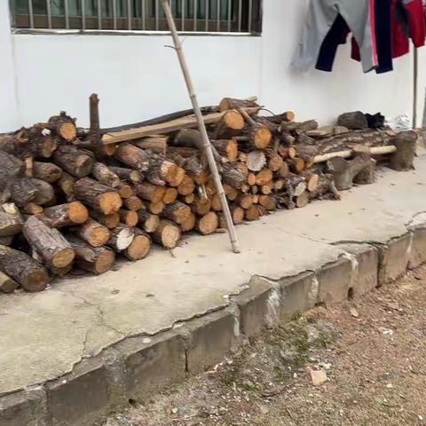 朱坑镇开展松材线虫病除治攻坚行动