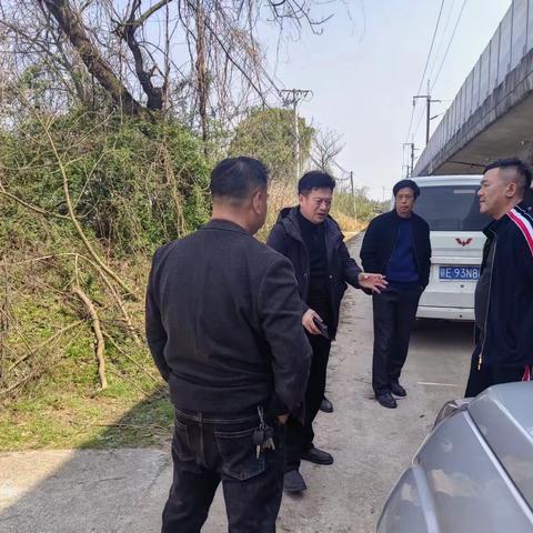 朱坑镇开展松材线虫病除治攻坚行动