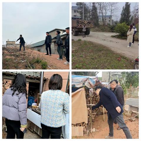 朱坑镇开展松材线虫病除治攻坚行动（3月14日）