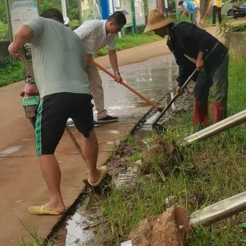 吾鲁村委会11月预防基孔肯雅热卫生清理党建活动纪实