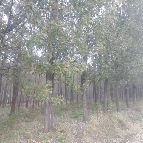 仁心所处，皆为正念，慈和