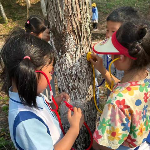 春日实践正当时，彭田沃土育成长 ——记广昌县第一小学2025年春季综合实践活动
