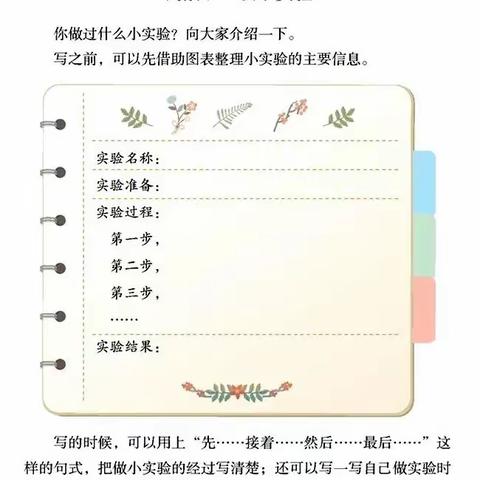 《我做了一个小实验》优秀作文