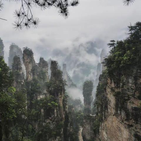 烟雨张家界