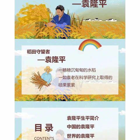 我心目中的英雄                              —袁隆平