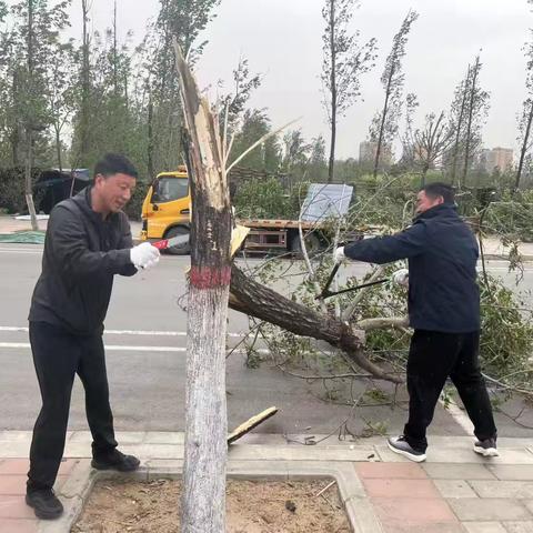 县住建局全力应对大风恶劣天气，守护城市安全稳定
