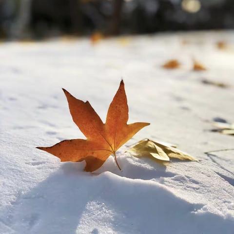 正荣润璟物业11月份服务月报