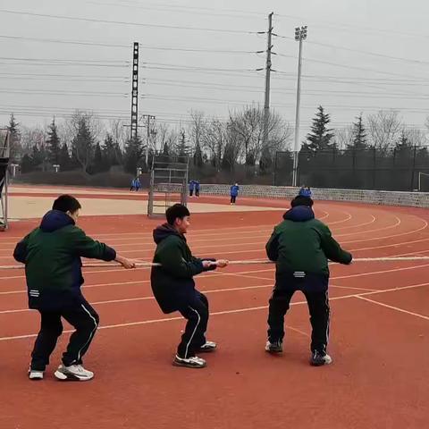 拔河比赛的收获