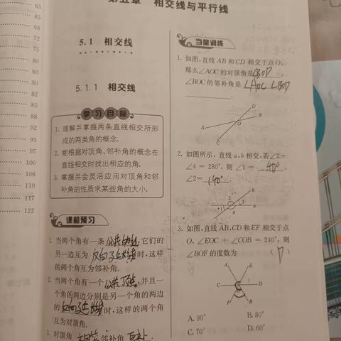 5.1相交线和5.2平行线及其判定，补的数学作业