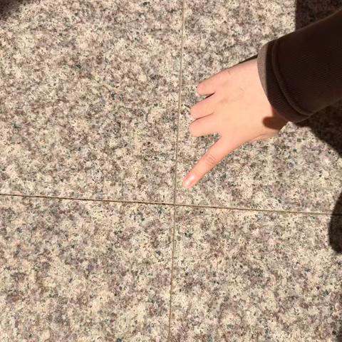 户外实践活动------生活中的图形